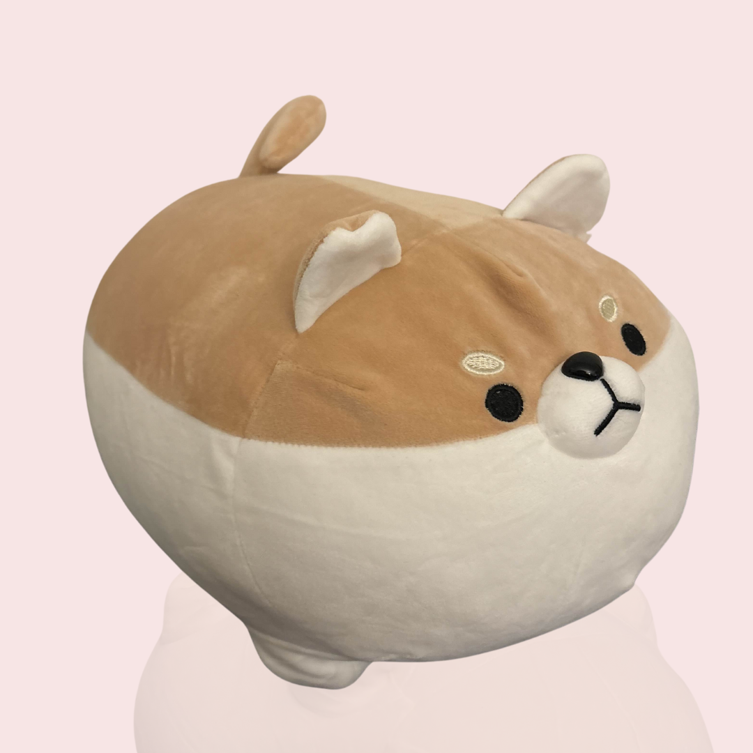 Shiba Inu