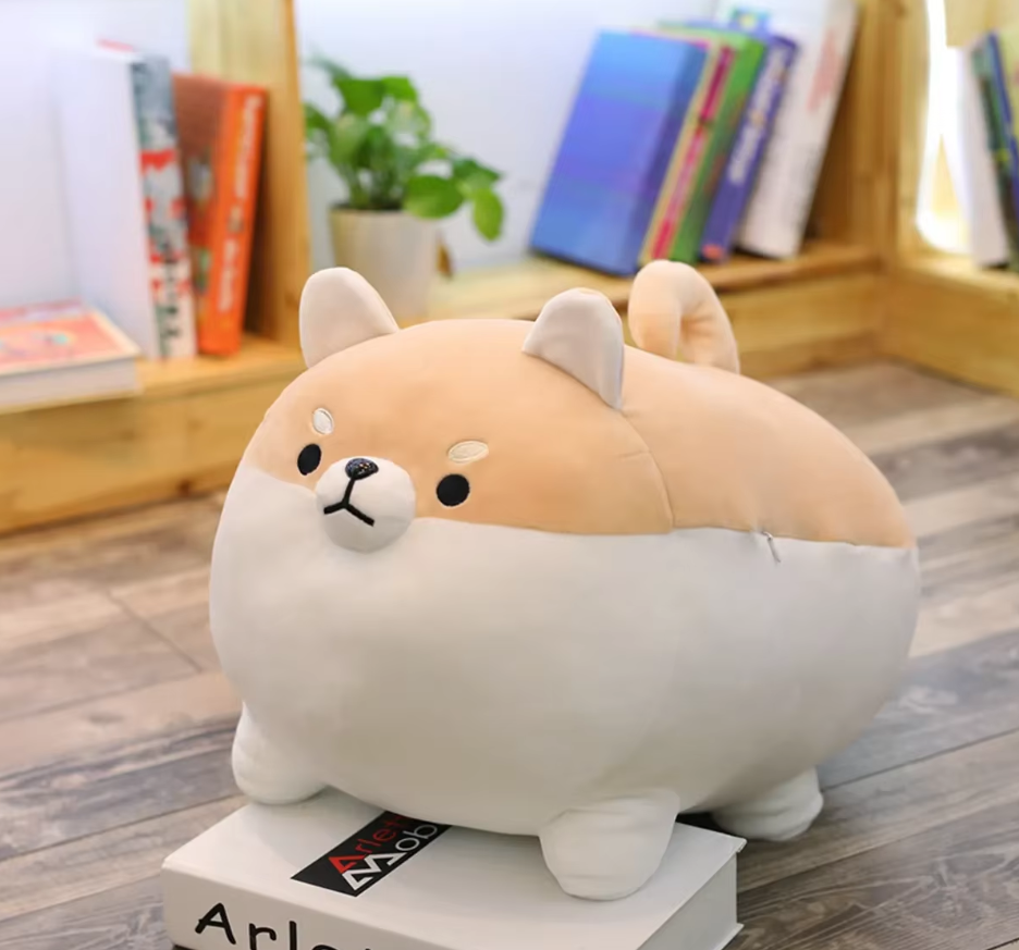 Shiba Inu